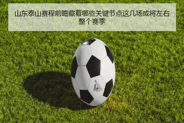 山东泰山赛程前瞻藏着哪些关键节点这几场或将左右整个赛季 - xiongmaotiyu